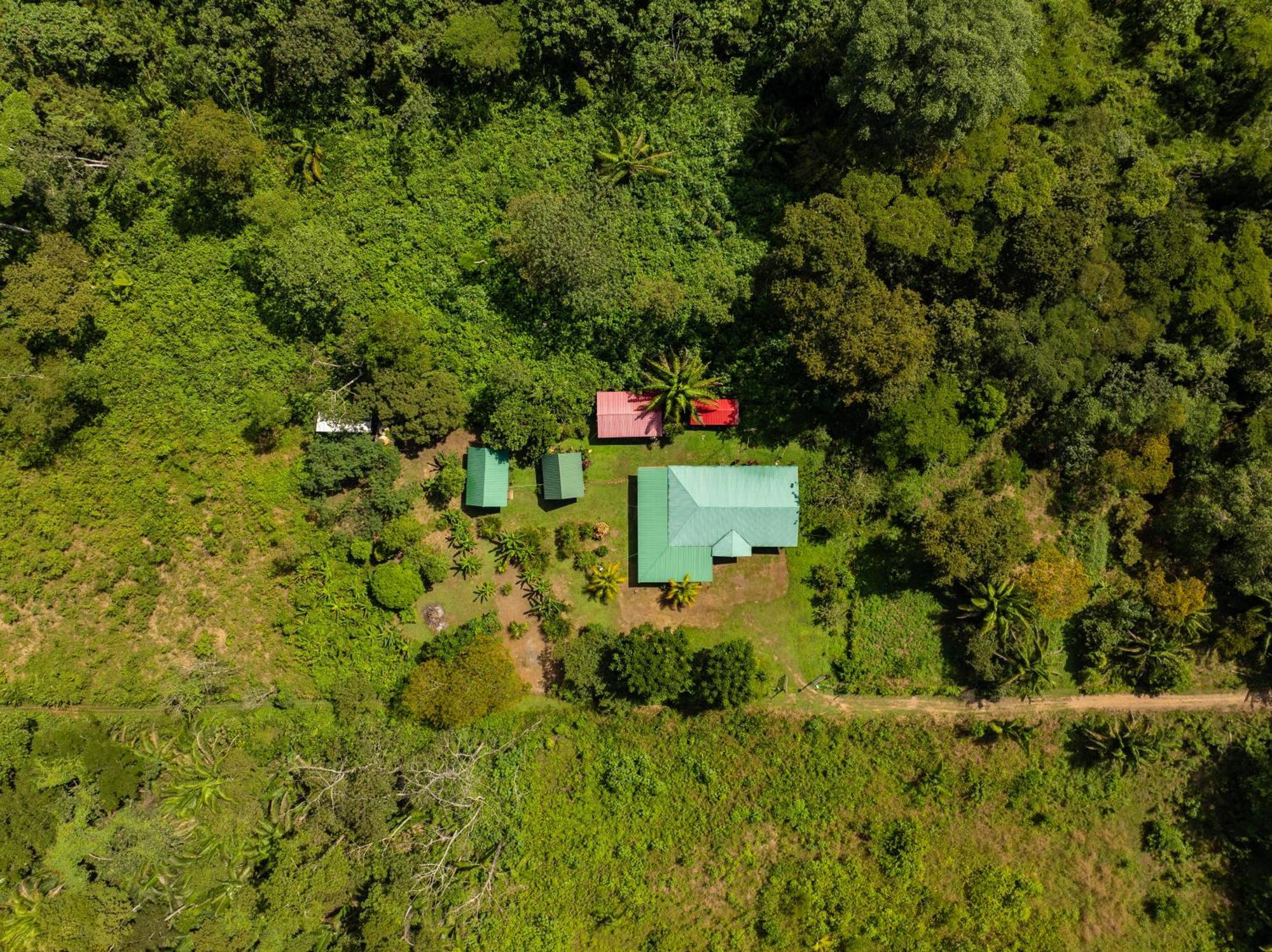 Quirquincho House Lodge Puerto Maldonado Eksteriør bilde