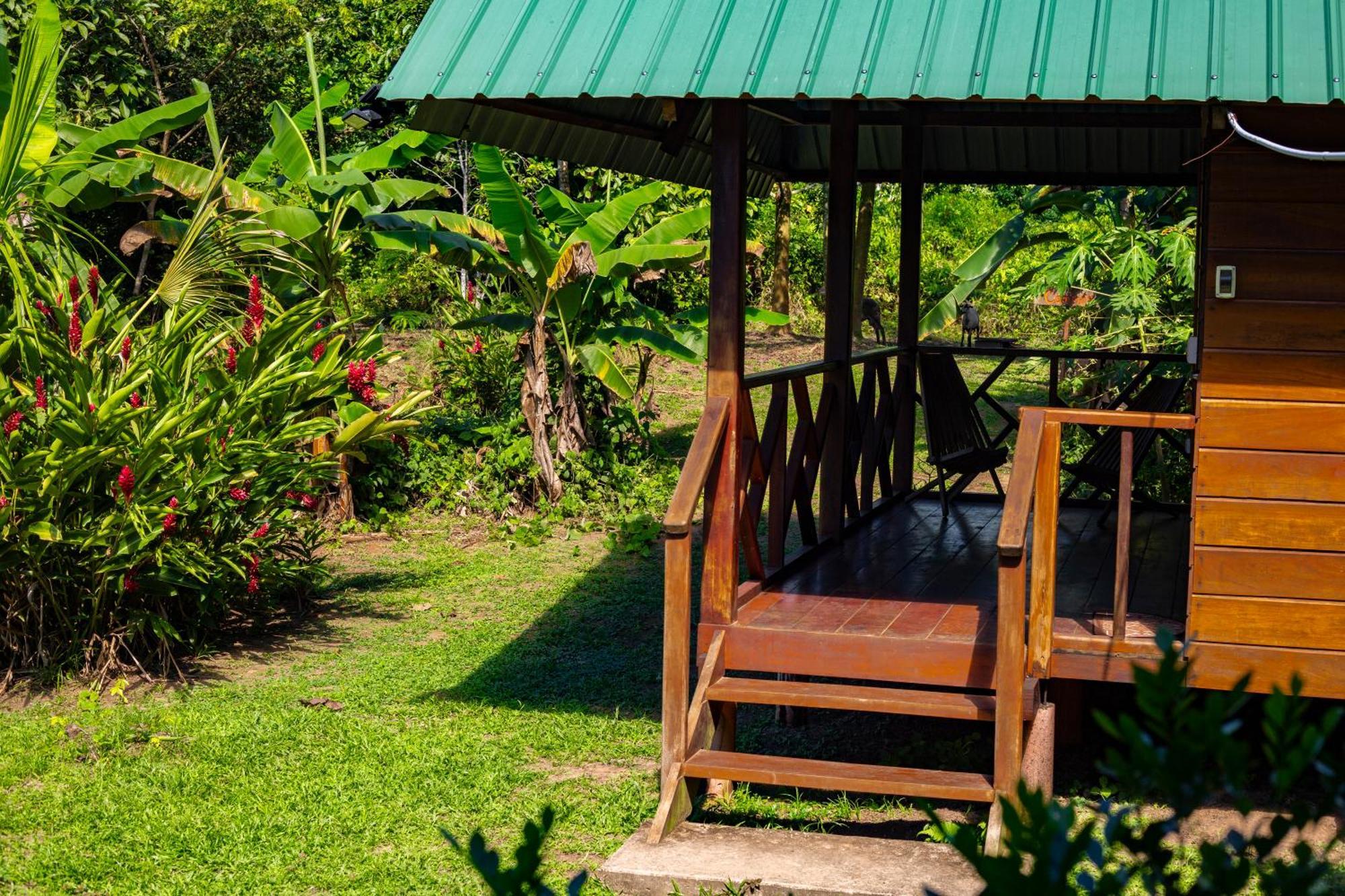 Quirquincho House Lodge Puerto Maldonado Eksteriør bilde